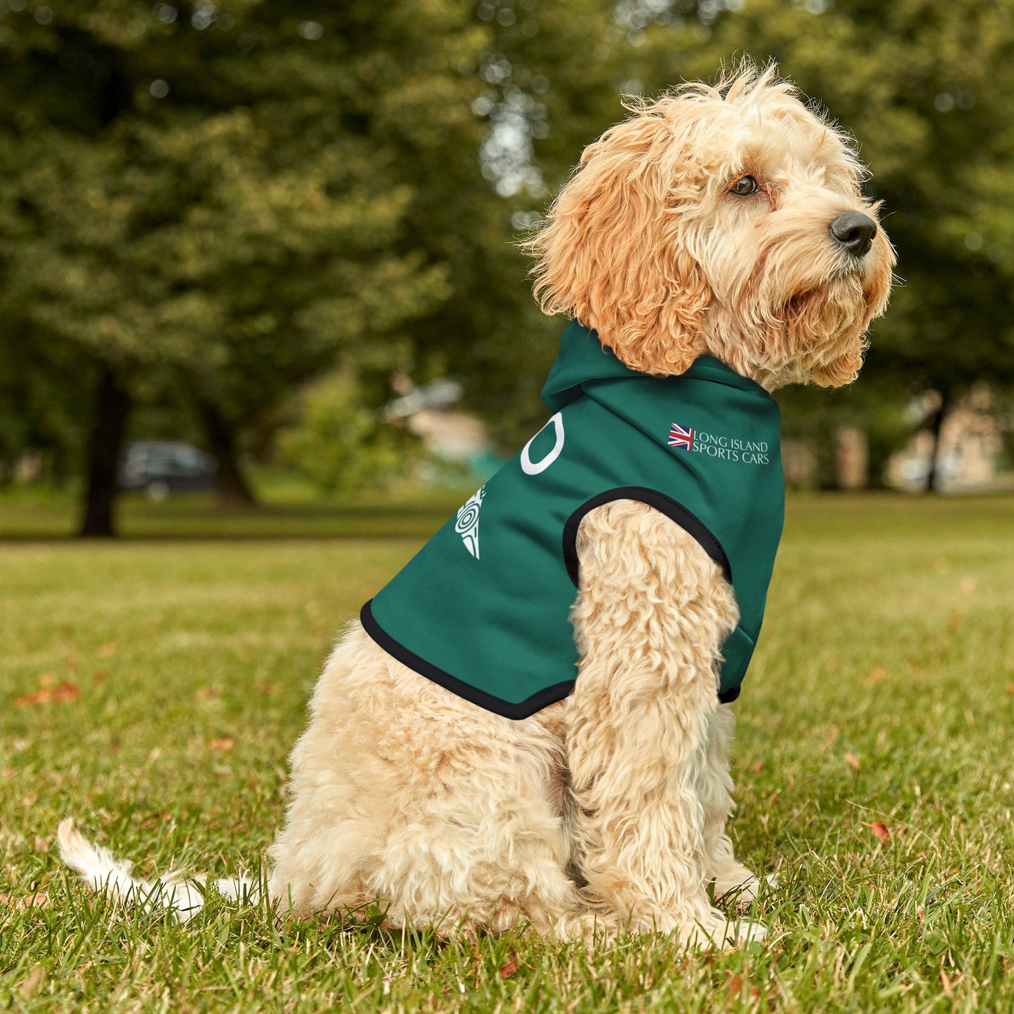 Fernando Alonzo F1 Pet Hoodie