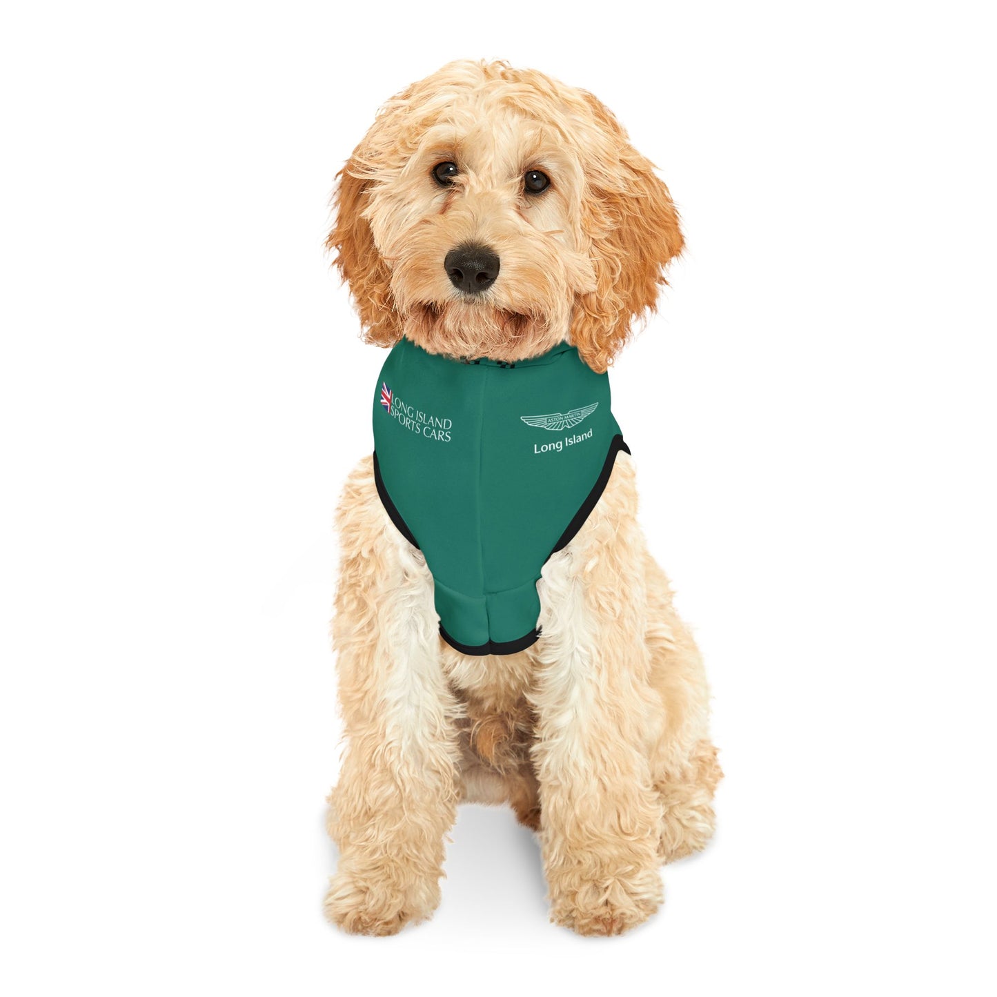 Fernando Alonzo F1 Pet Hoodie
