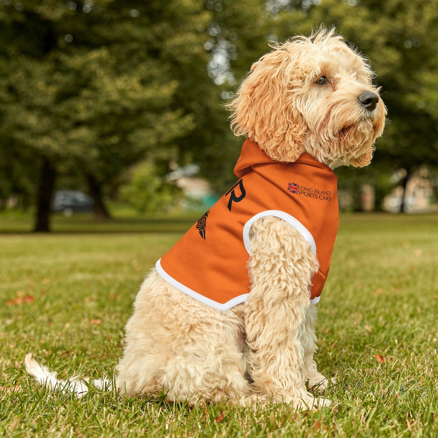 Lando Norris F1 Pet Hoodie