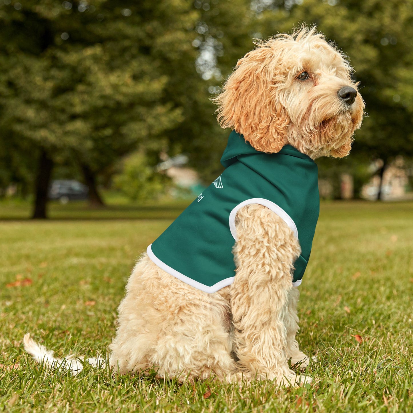 Aston Martin Long Island Pet Hoodie