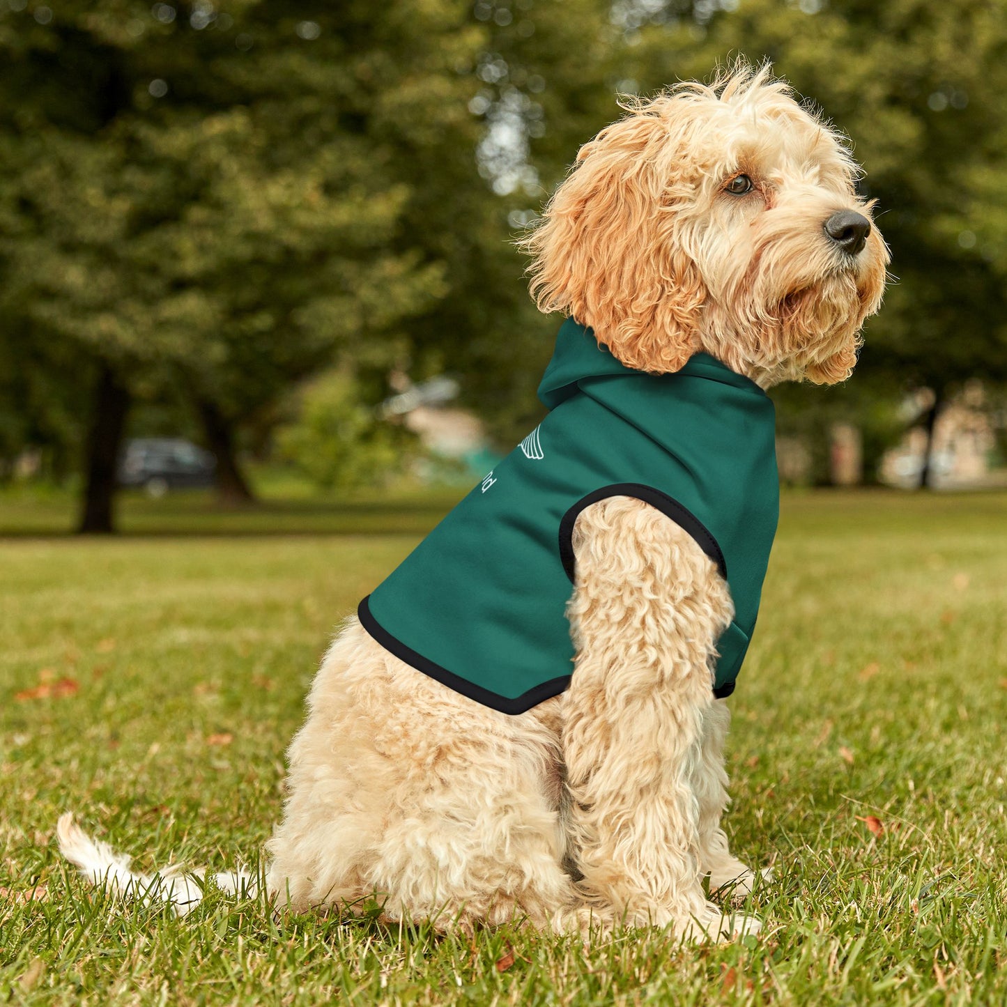 Aston Martin Long Island Pet Hoodie