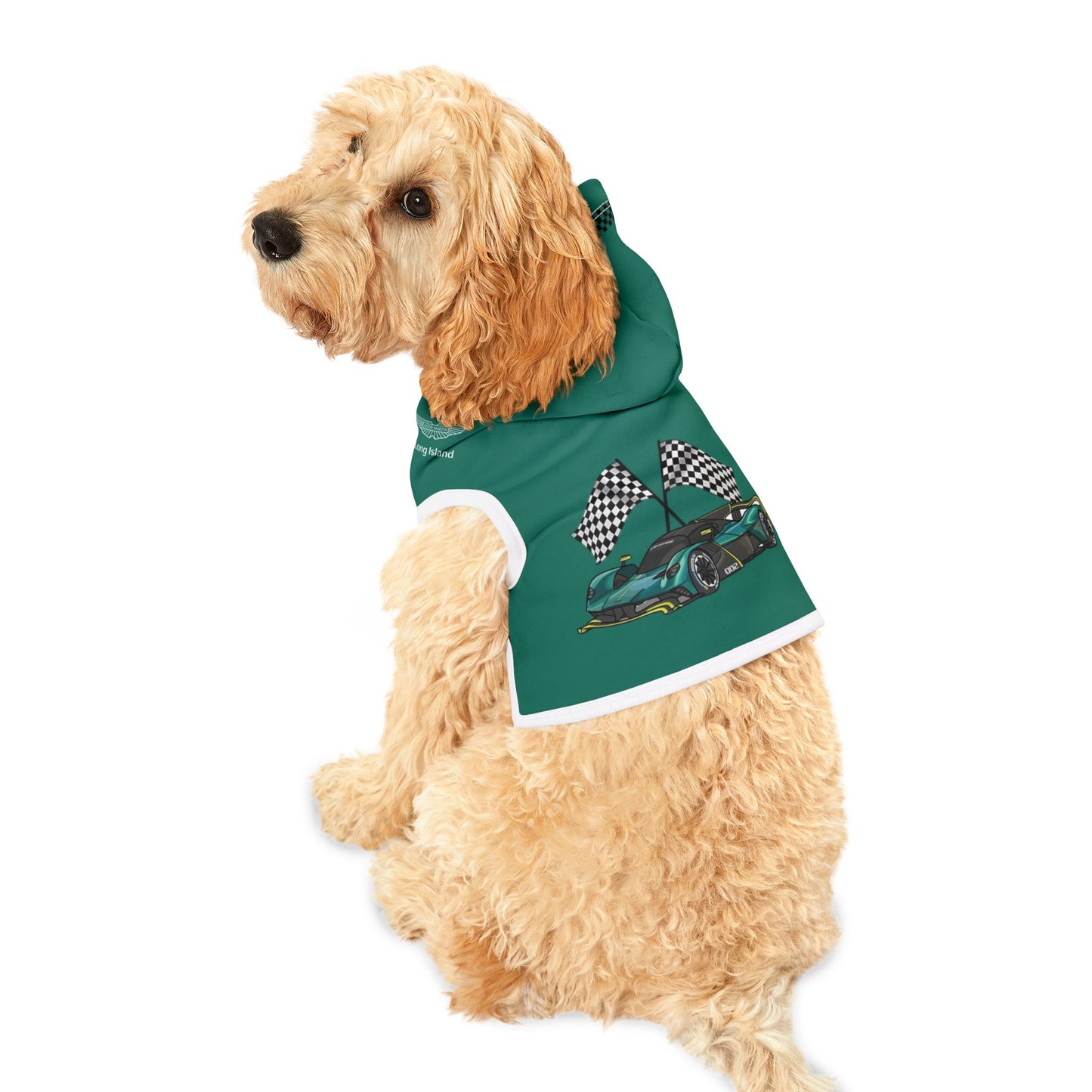 Aston Martin Valkyrie AMR PRO F1 Pet Hoodie