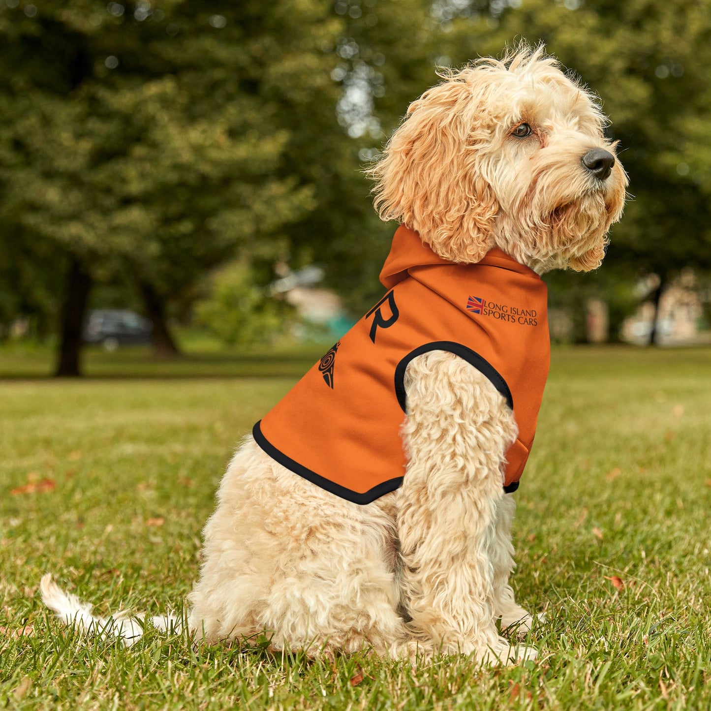 Lando Norris F1 Pet Hoodie