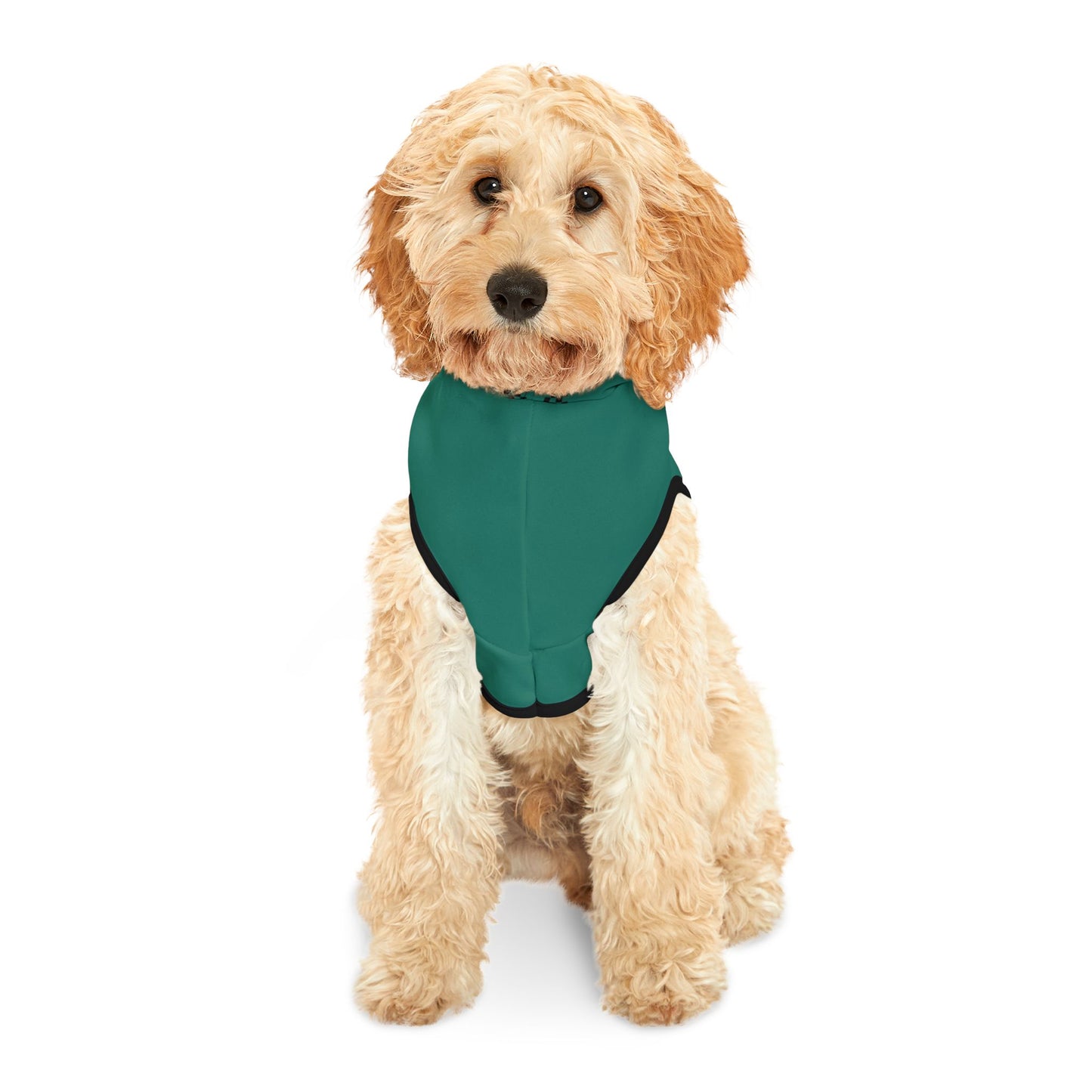 Aston Martin Long Island Pet Hoodie