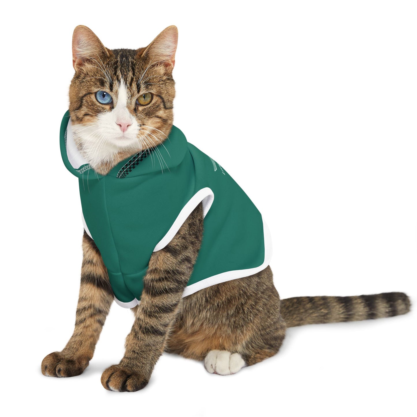 Aston Martin Long Island Pet Hoodie