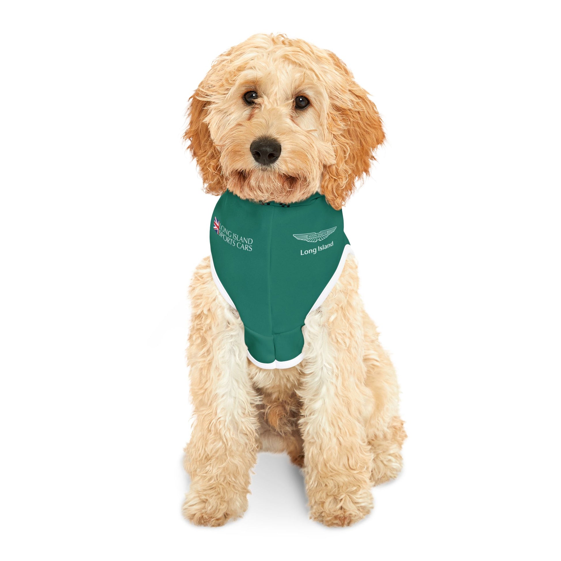 lance stroll dog Lance Stroll F1 Pet Hoodie