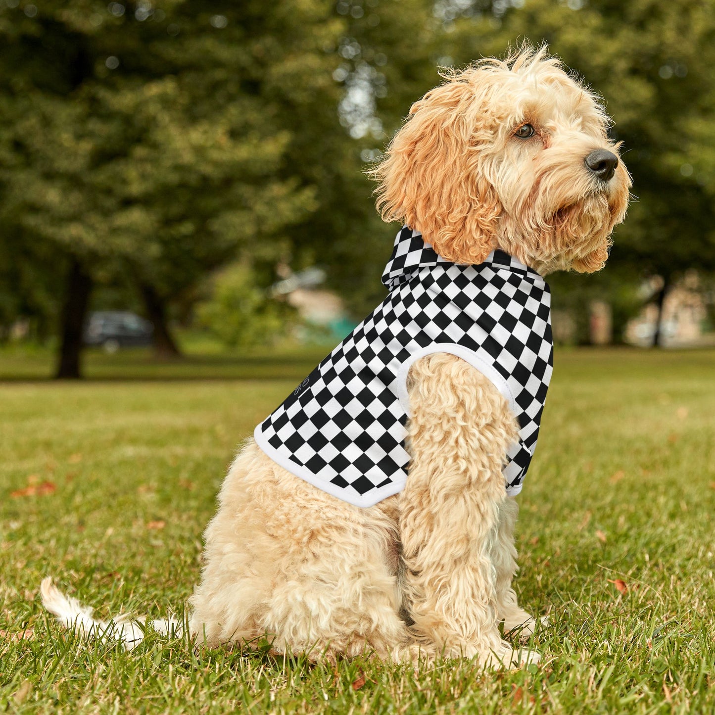 Long Island Sports Cars Checkered Pet Hoodie