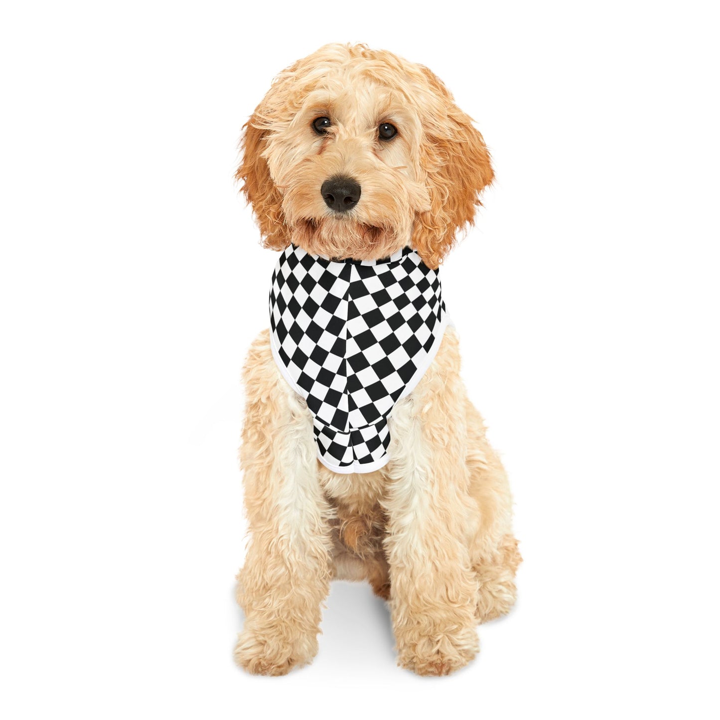 Long Island Sports Cars Checkered Pet Hoodie