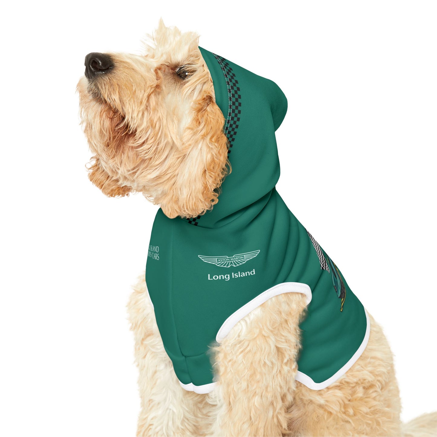 Aston Martin Valkyrie AMR PRO F1 Pet Hoodie